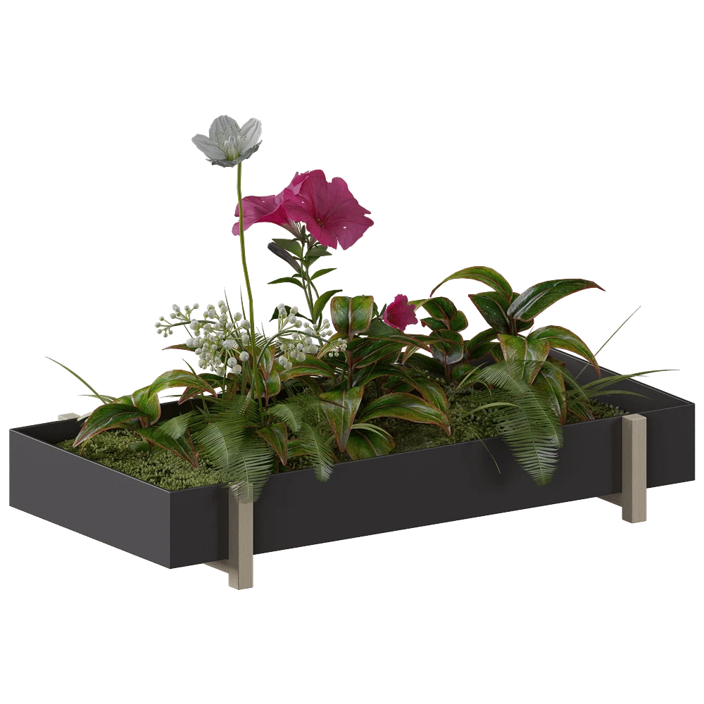 Plants / Other decorative objects 1