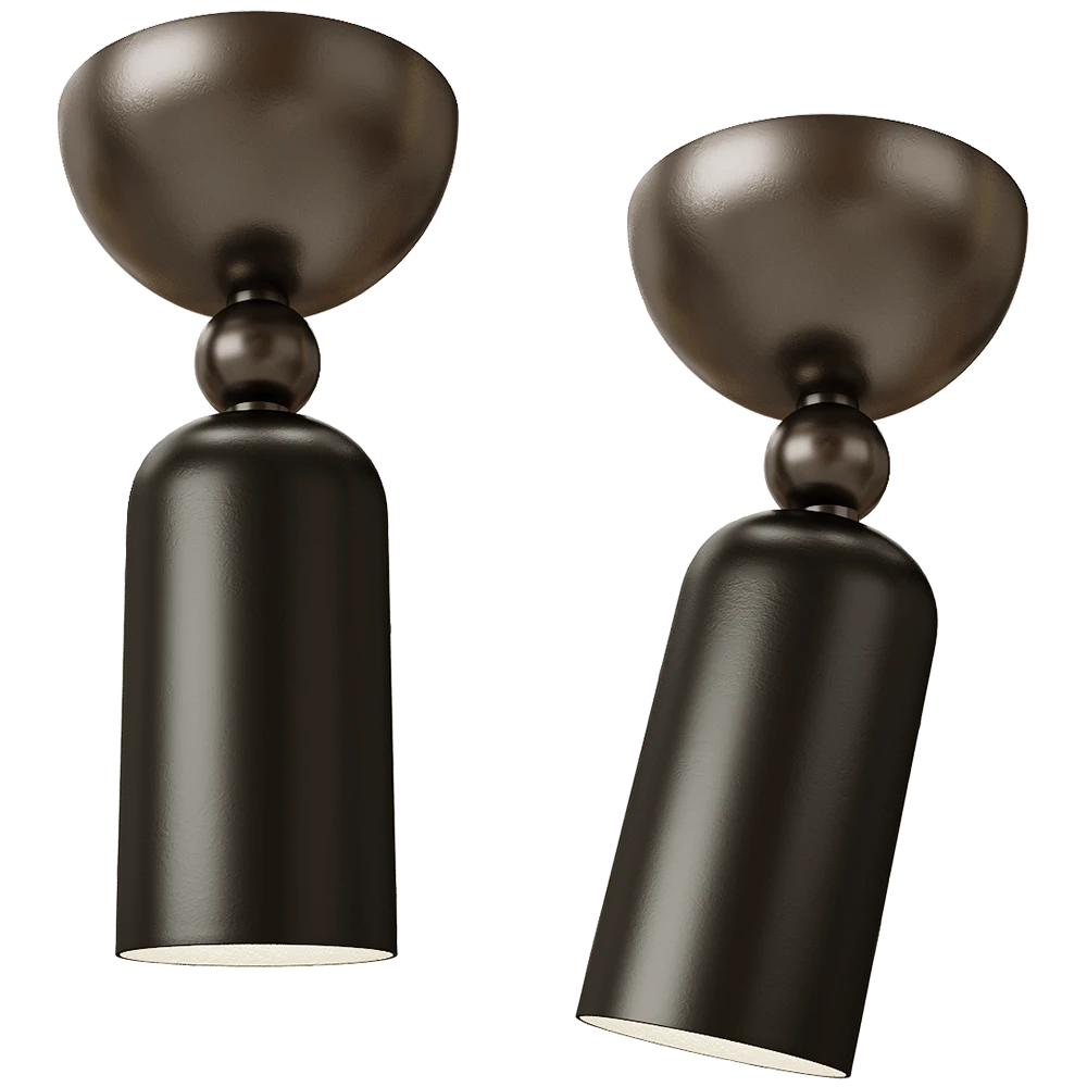 Ceiling lamp 1