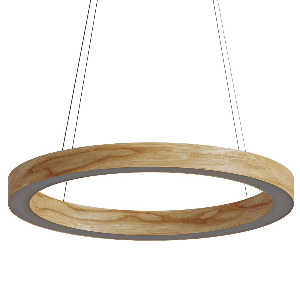 Ceiling lamp 1