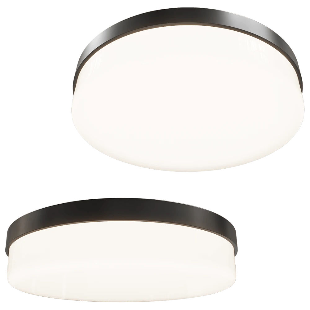 Ceiling lamp 1