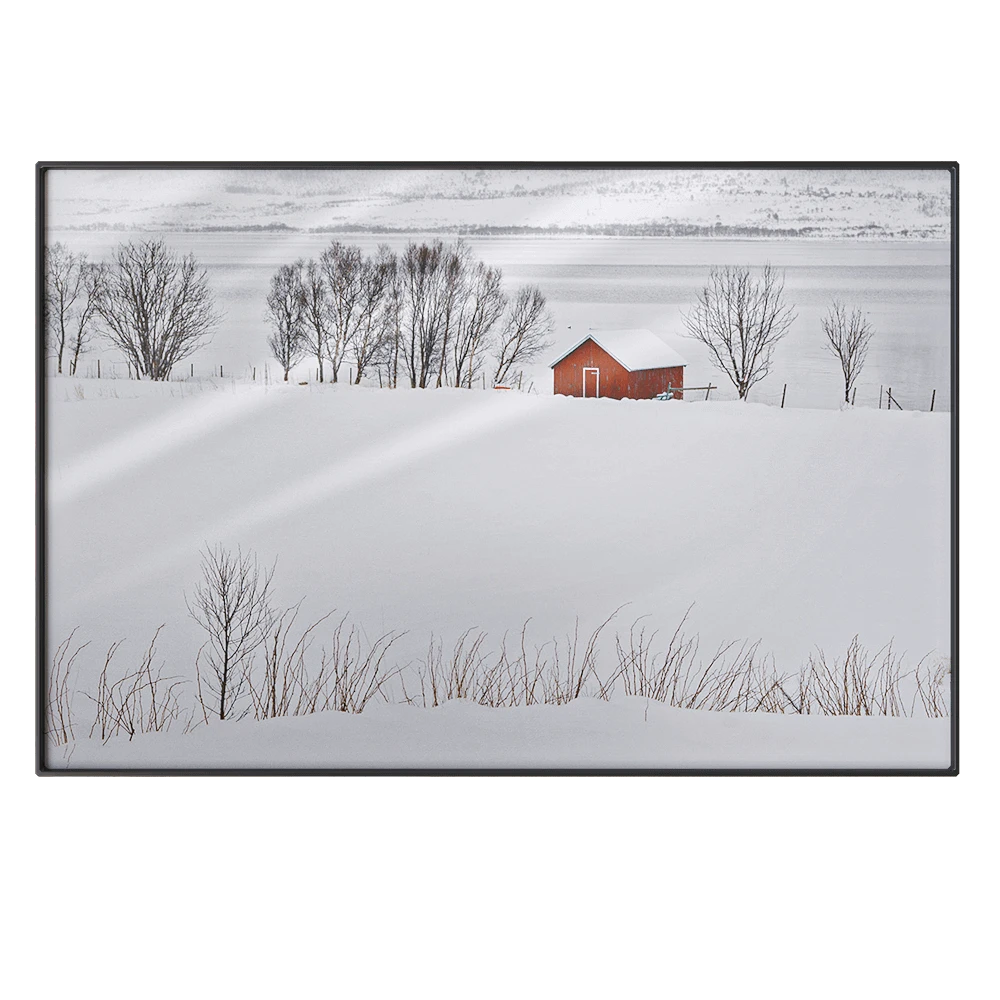 Picture NC Design group® NCD-PTZ31-AL