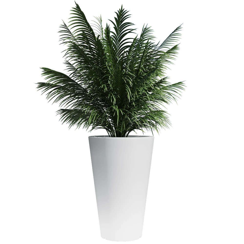 Plants 1