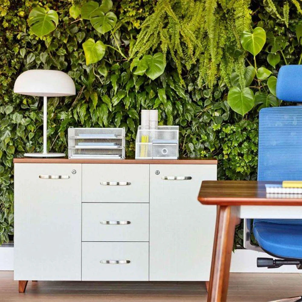 Office furniture / Sideboard & Chest of Drawer 2