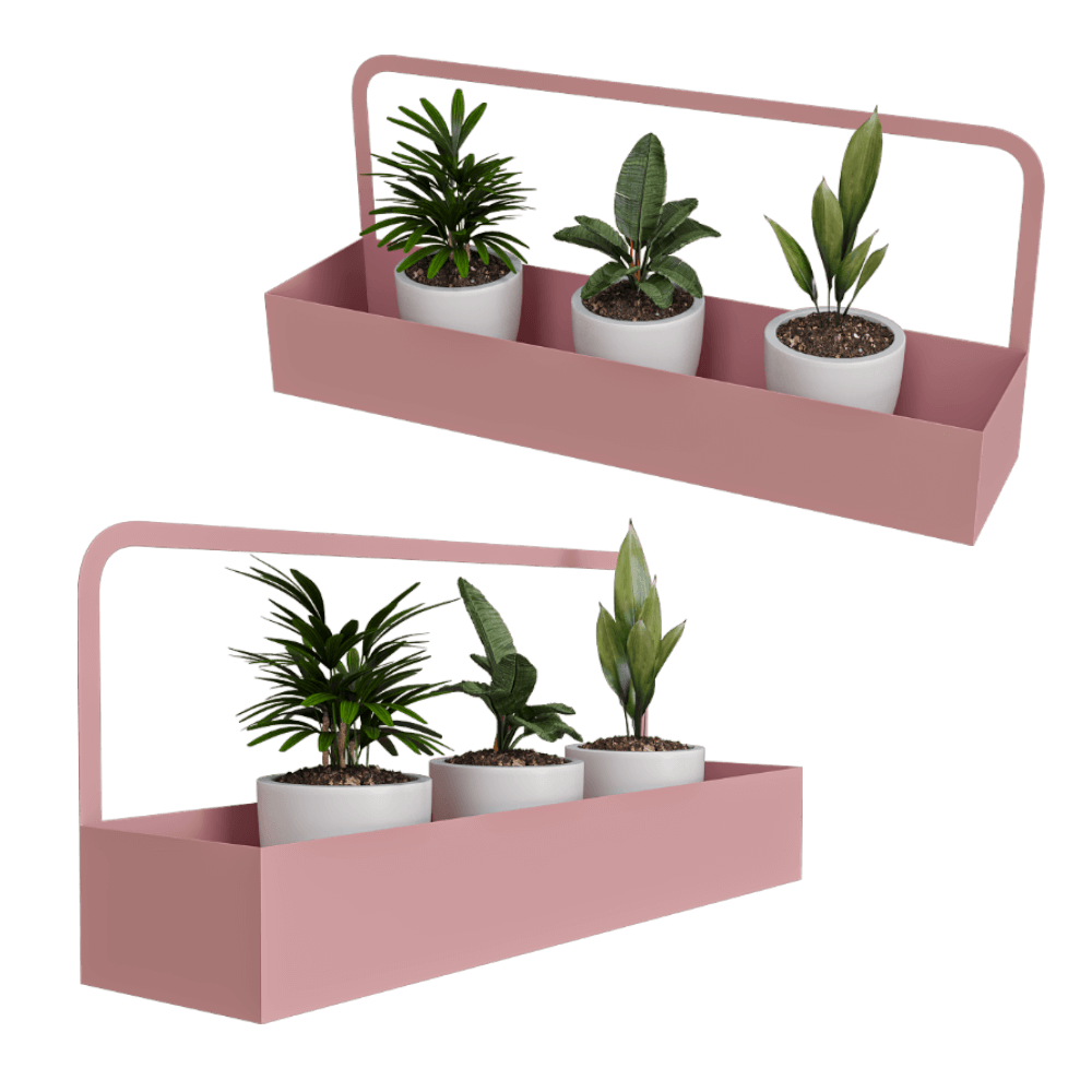 Other / Plants 1