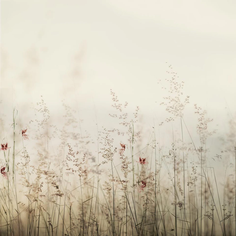 Rivestimento murale 2