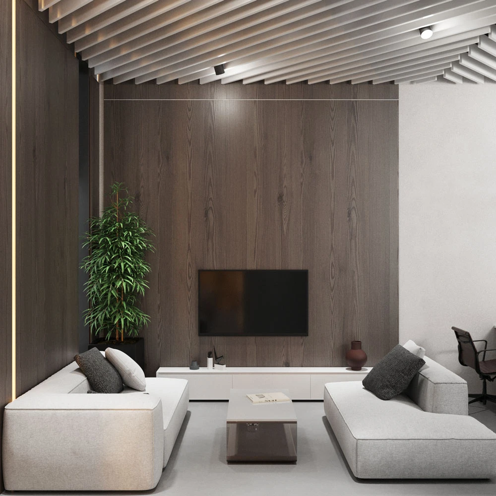 Residential Spaces 1