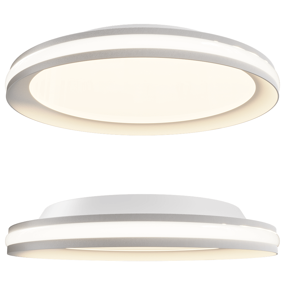 Ceiling lamp 1