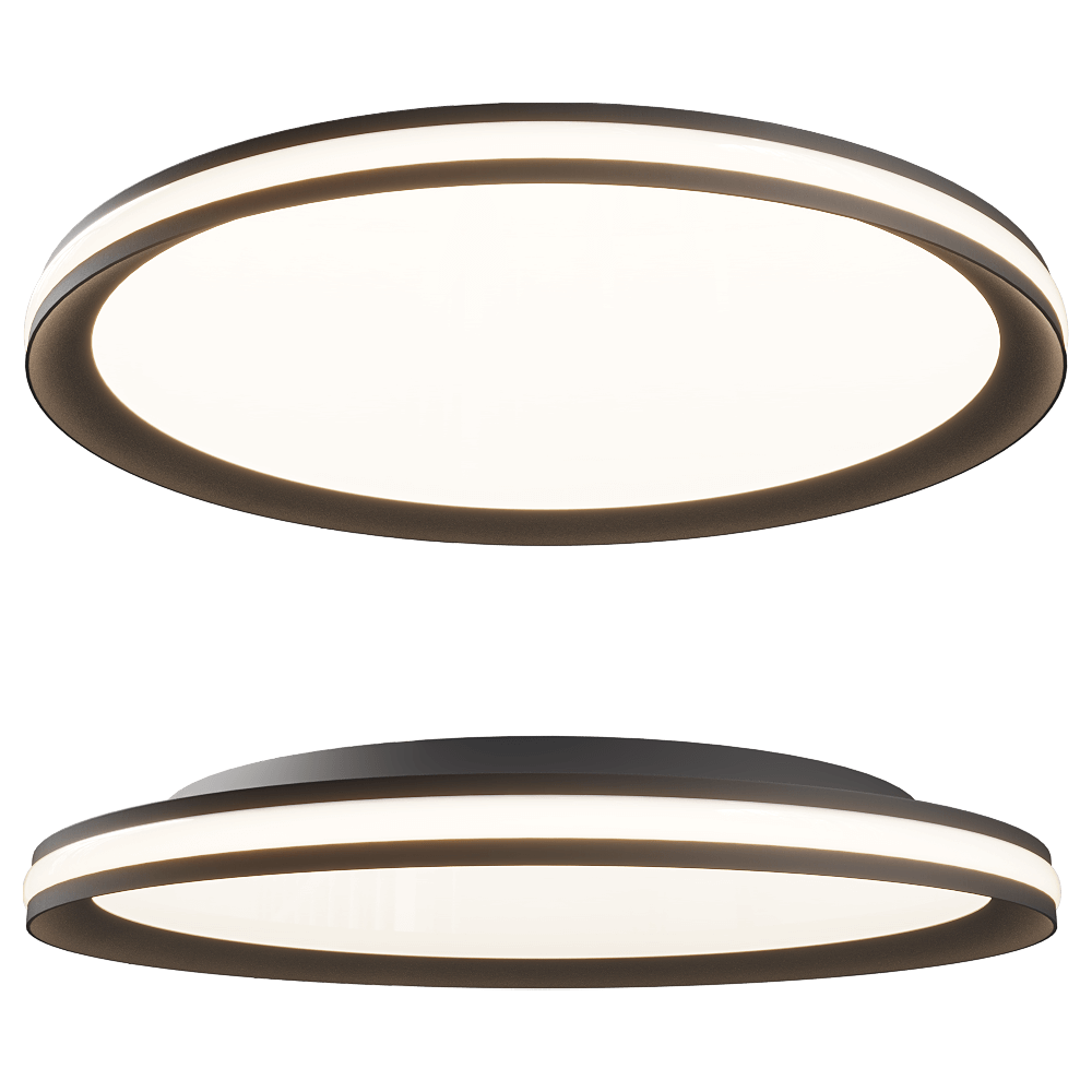 Ceiling lamp 1