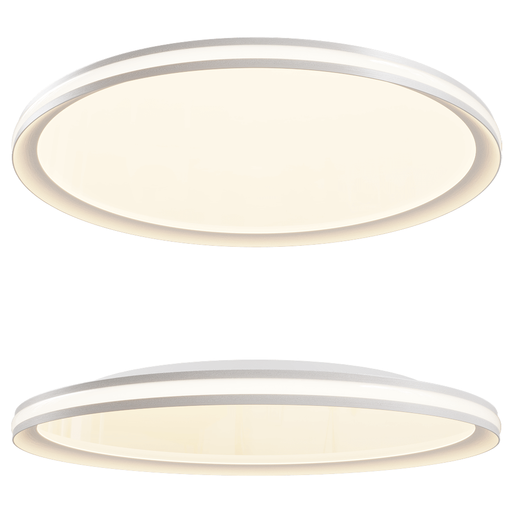 Ceiling lamp 1