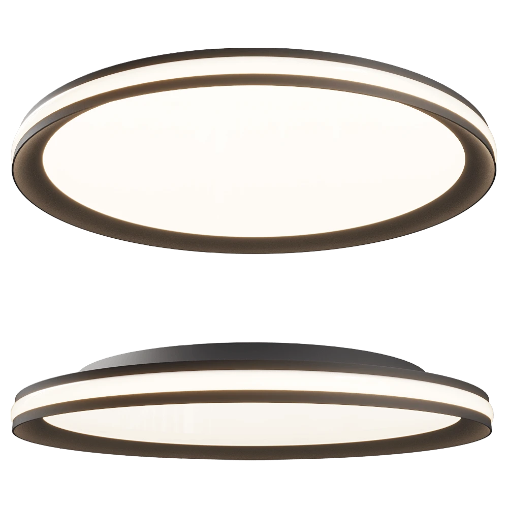 Ceiling lamp 1