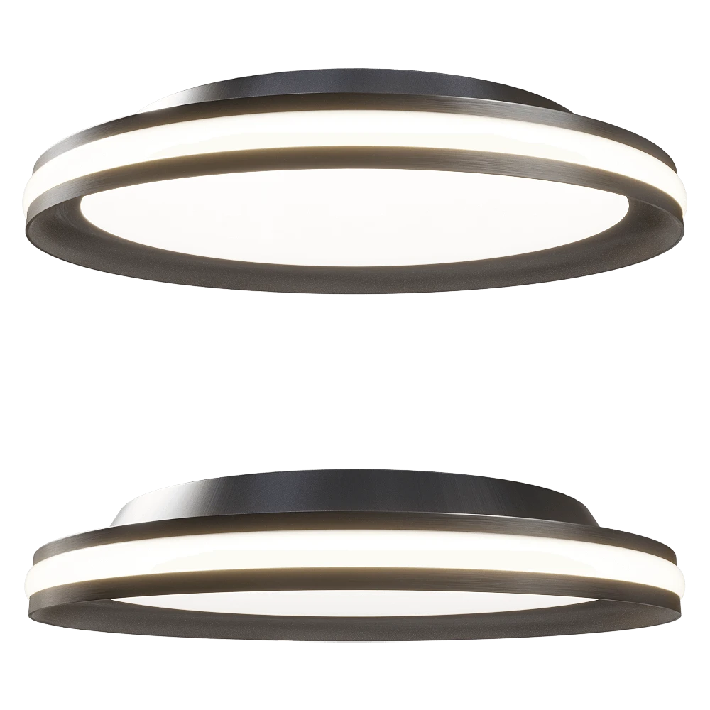 Ceiling lamp 1