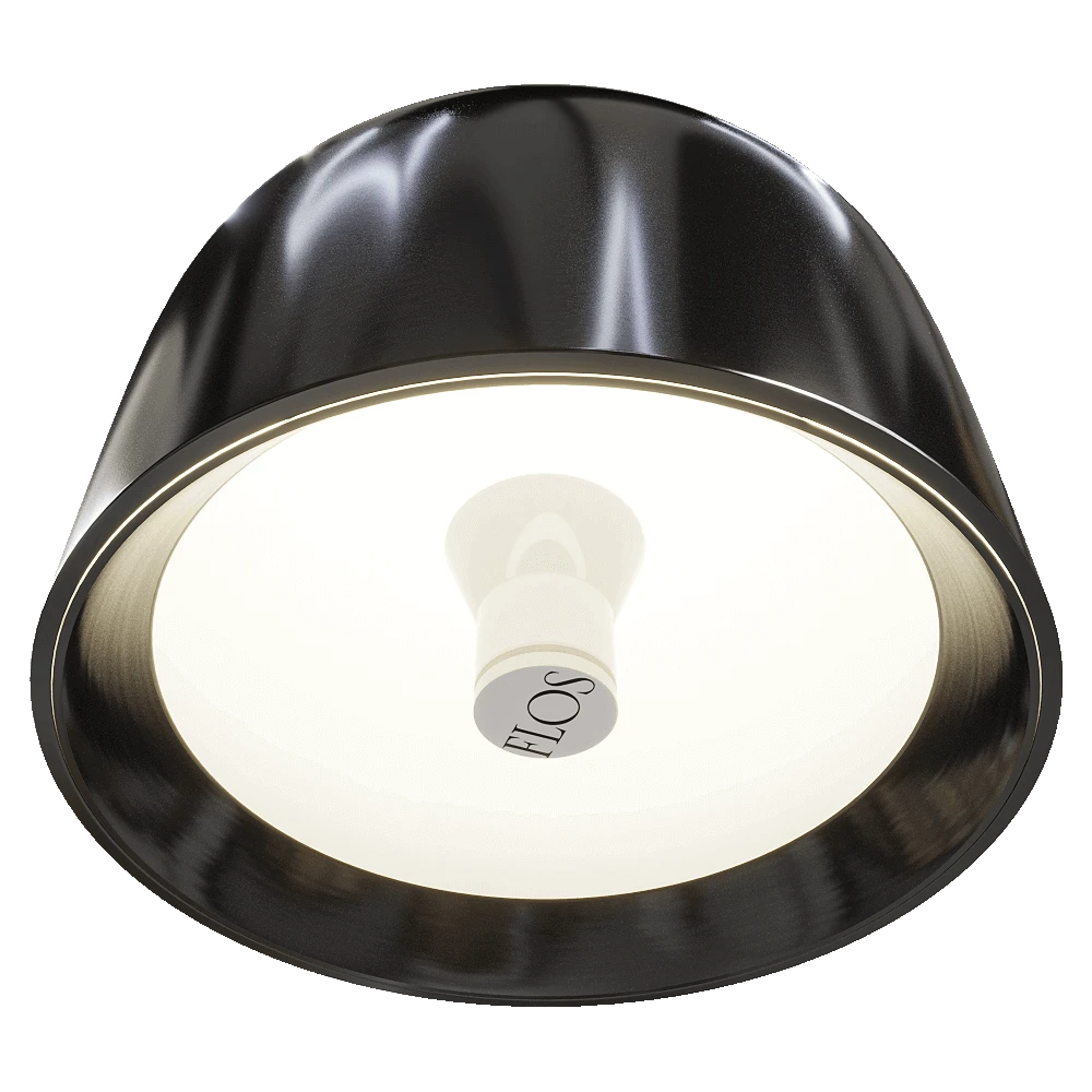 Ceiling lamp / Wall light 2