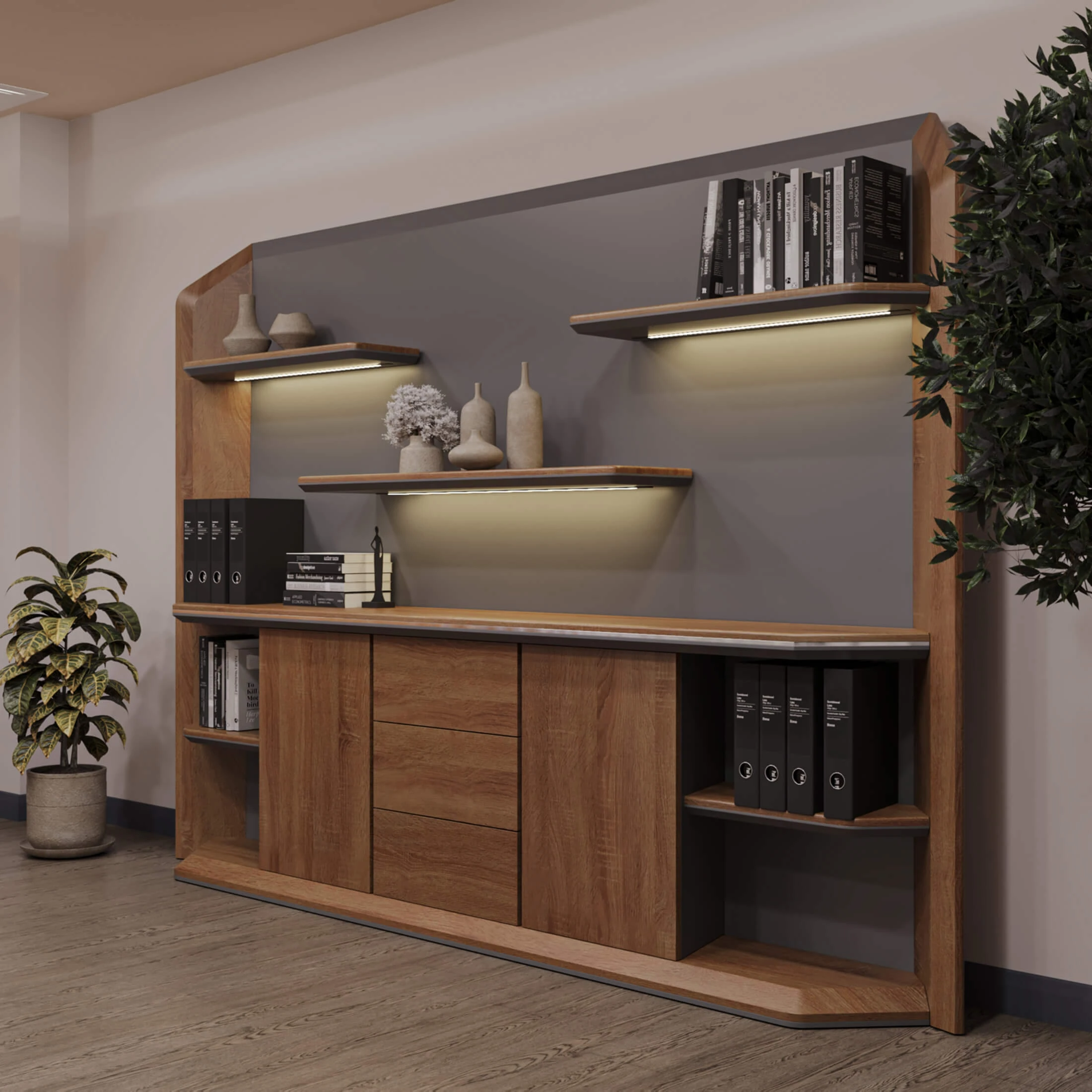 Shelves / Sideboard & Chest of Drawer 2