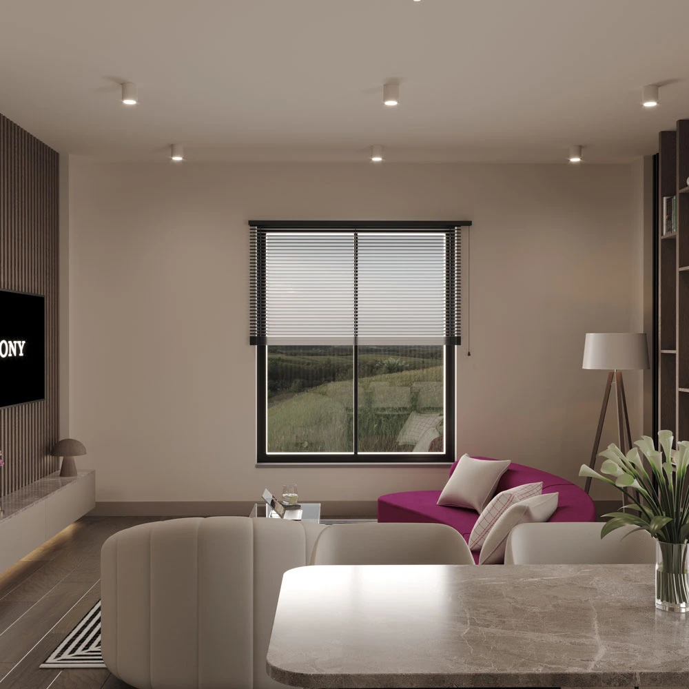Modern Living Room and Dining Area Interior Design 3D Scene (5)