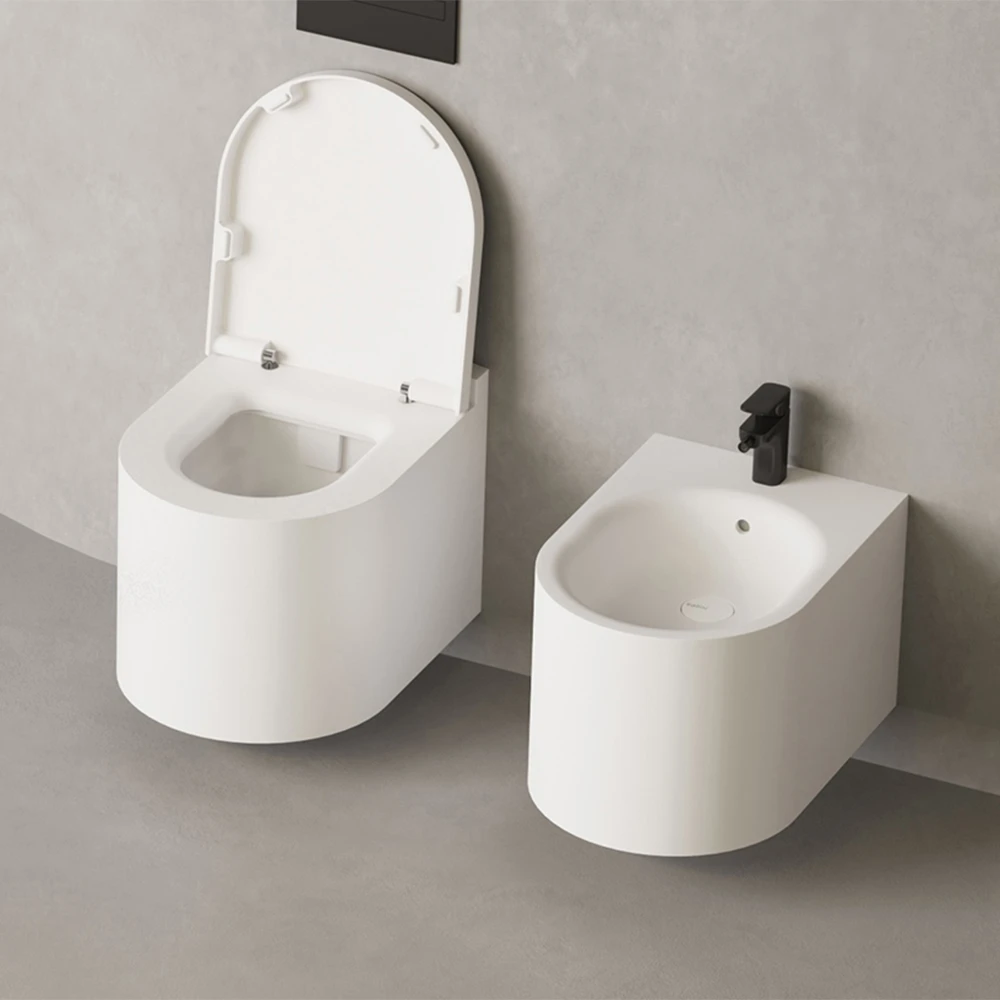Toilet and Bidet 3