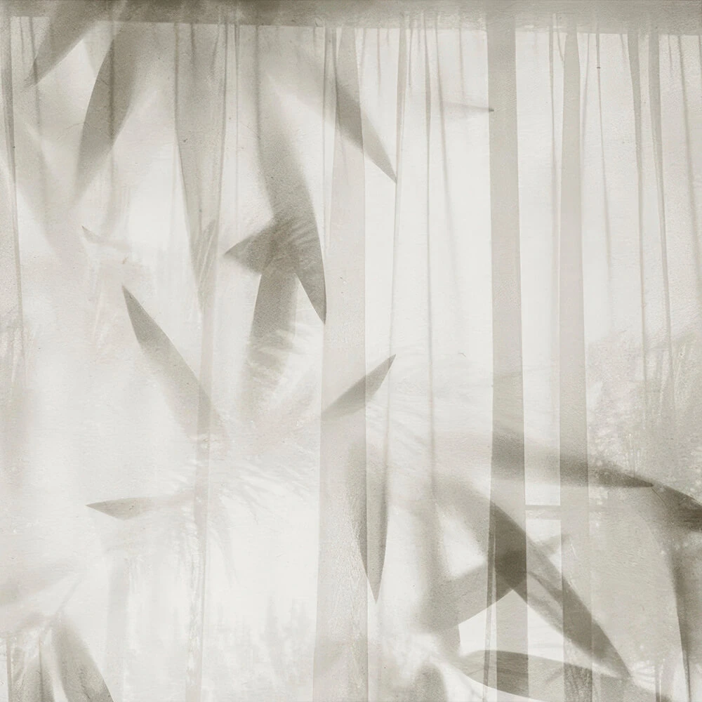 Wallpaper Studijo Wallart Bamboo behind the Curtain V2