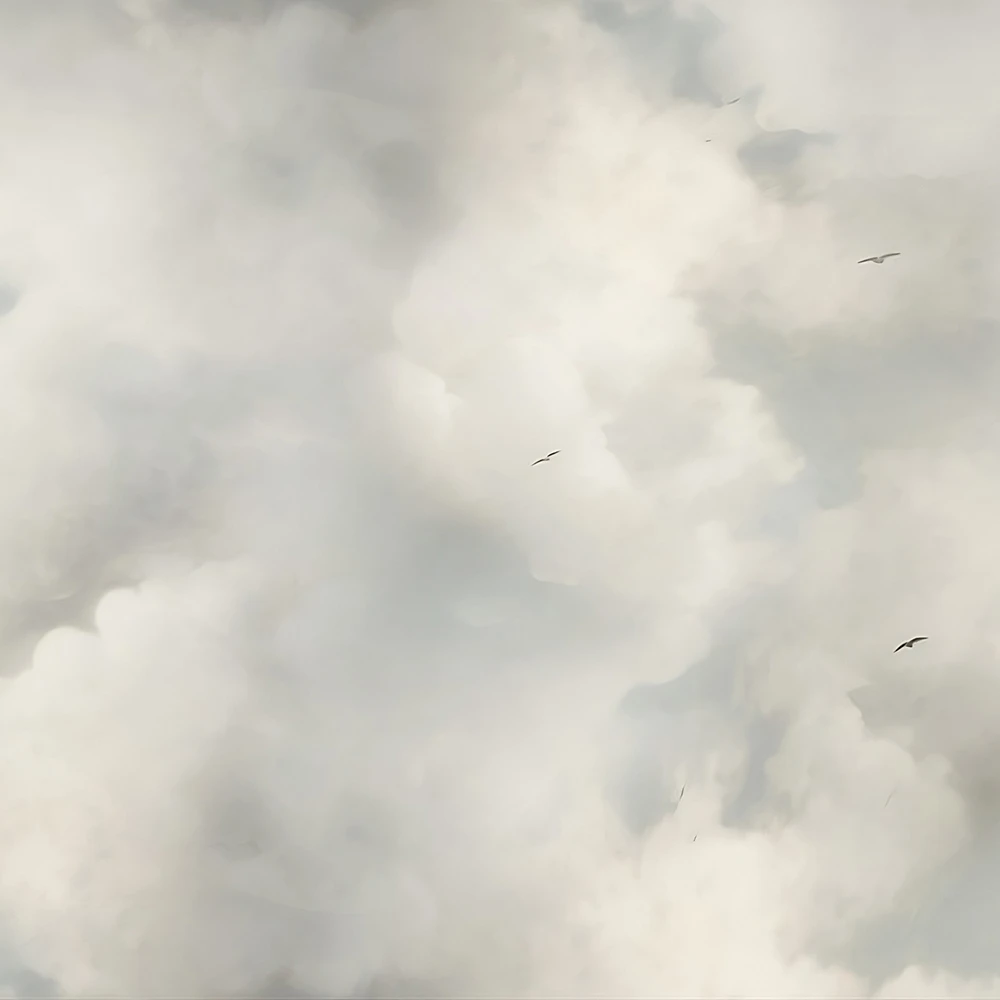 Стены, обои 1