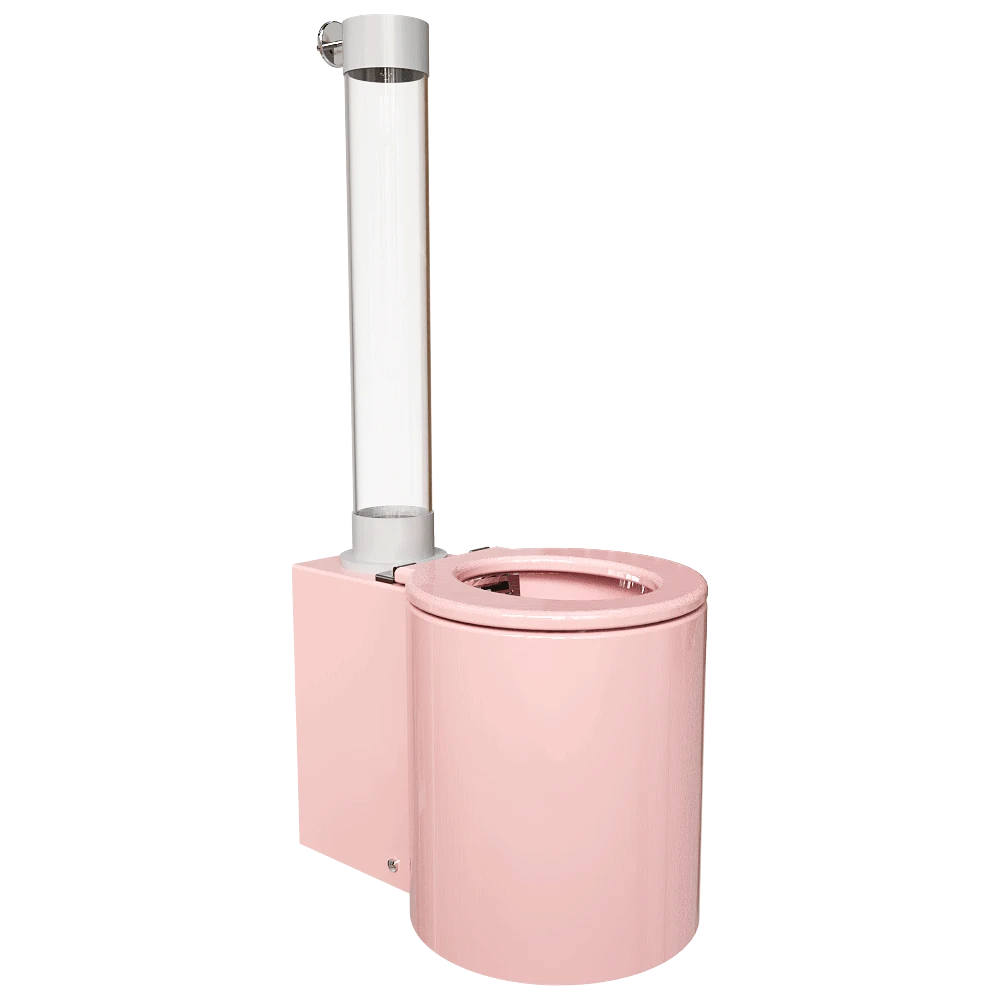 Toilet Trone Icone
