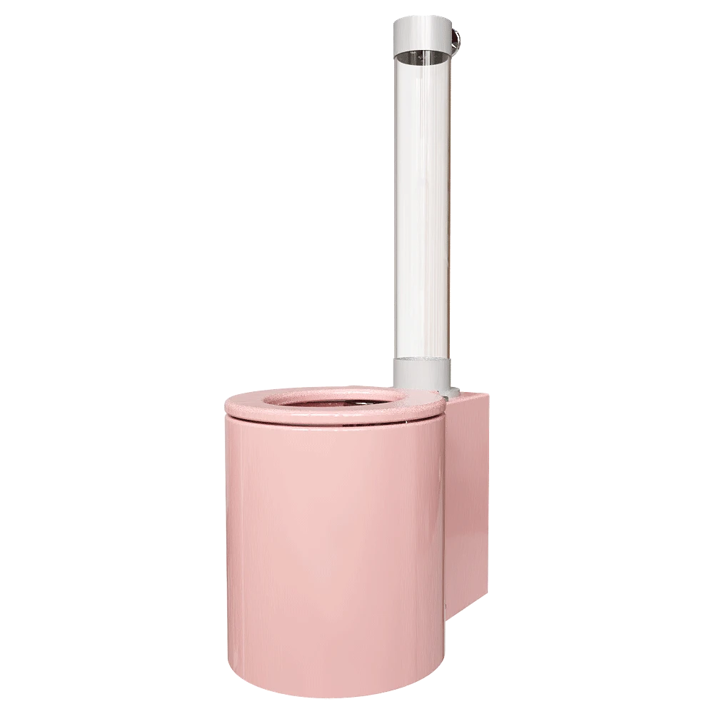 Toilet Trone Icone (2)