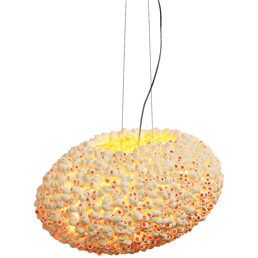Ceiling lamp 1