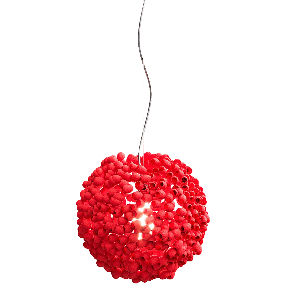 Ceiling lamp 1