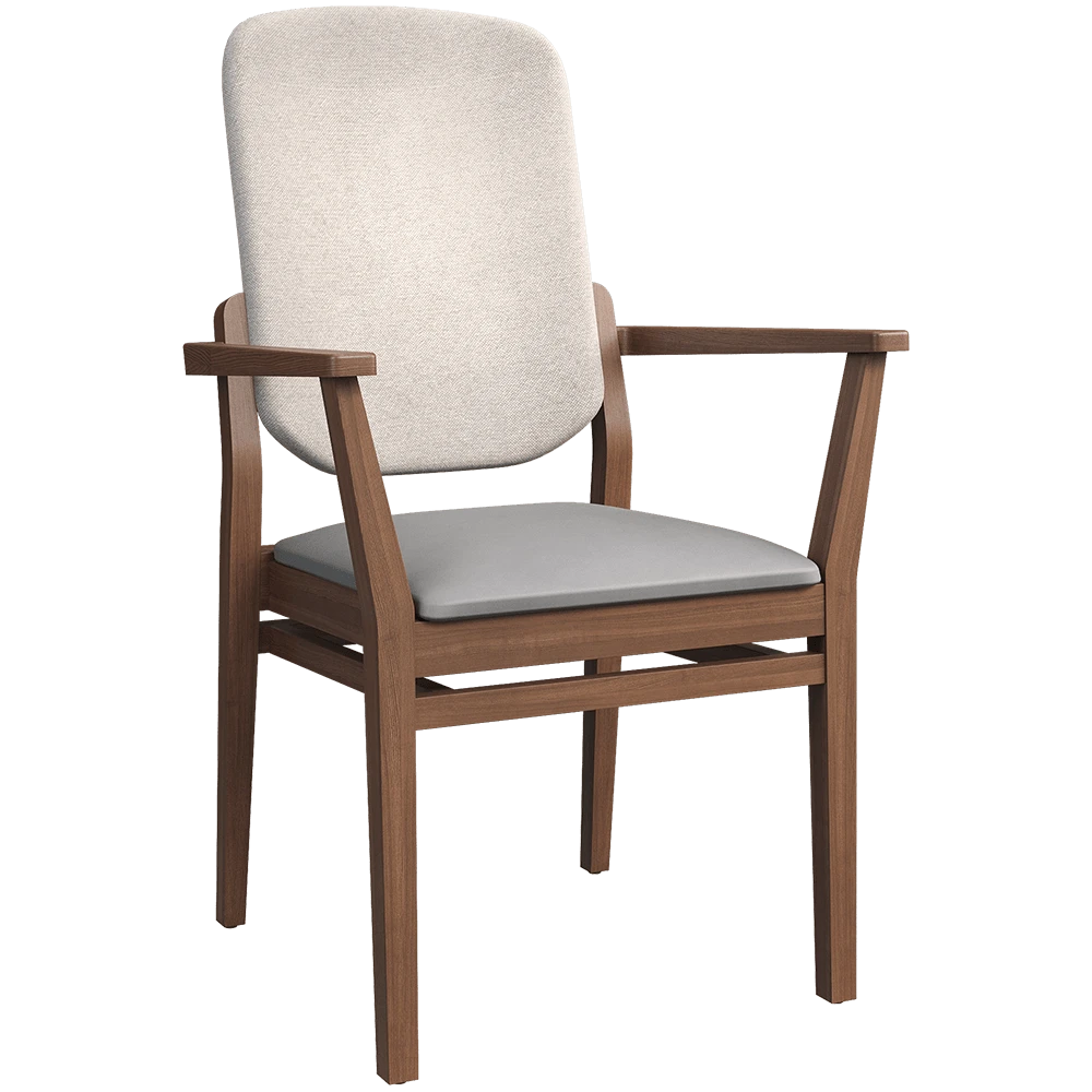 Armchair Fenabel INES CO.2855 (2)