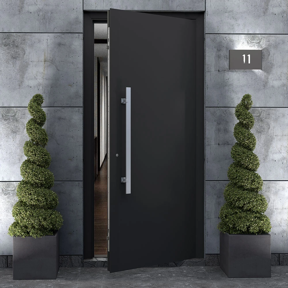 Door Handle WALA Q10X (2)