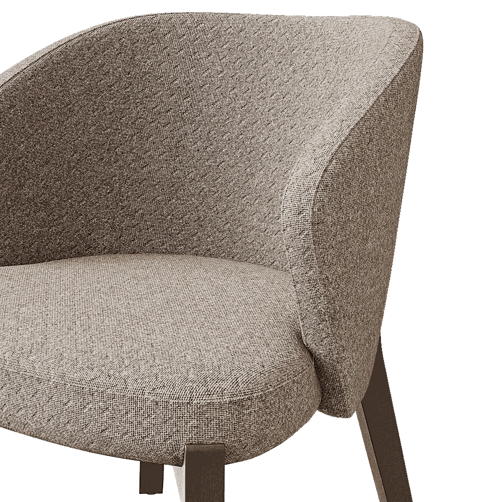 Lounge Chair Fenabel ELICIA CO.04I9 (3)