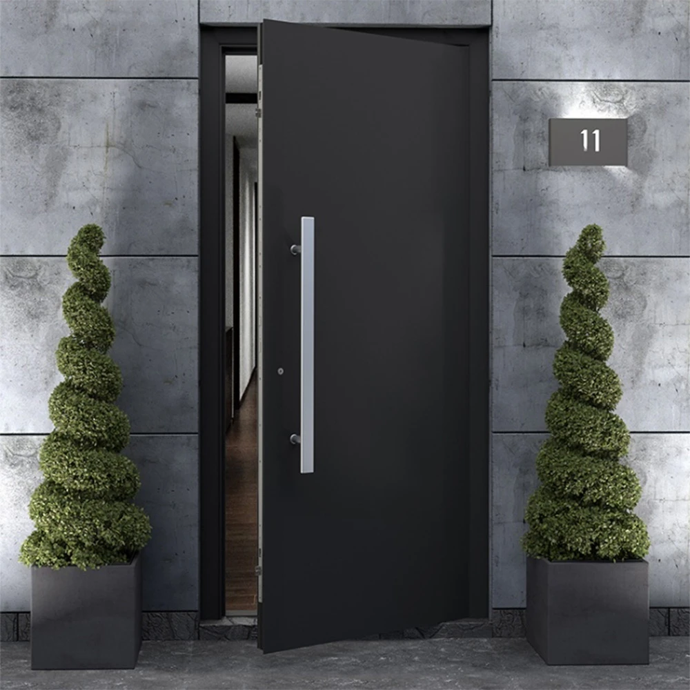 Door Handle WALA DP10 (2)