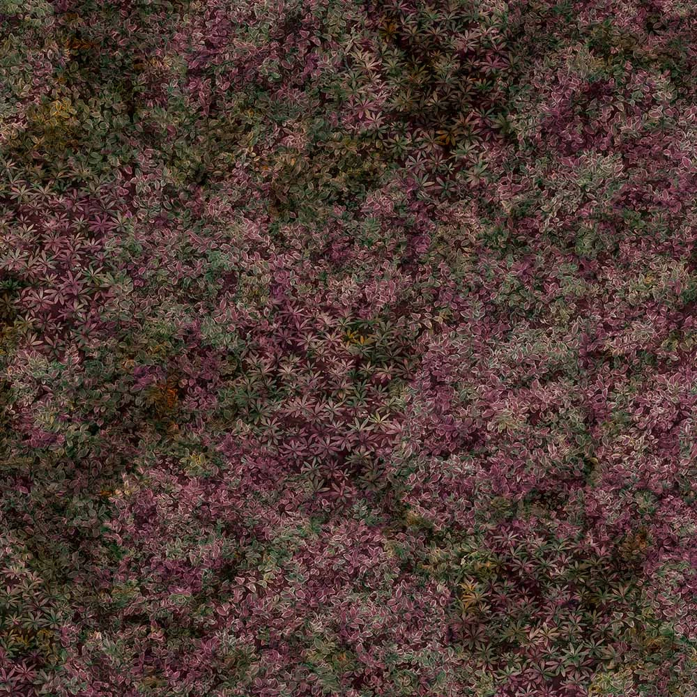 Wallpaper NATURA ETÉREA LAVENDER