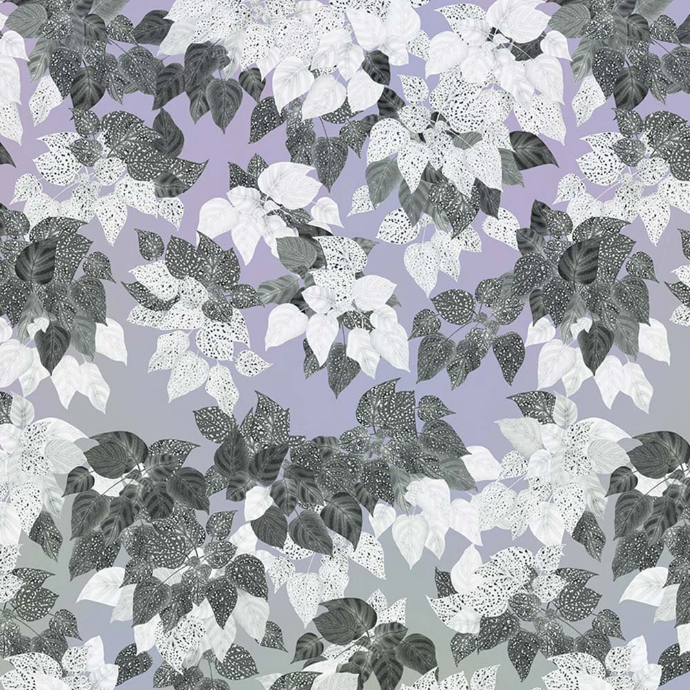 Wallpaper ANTHROPOLOGIE Lavender