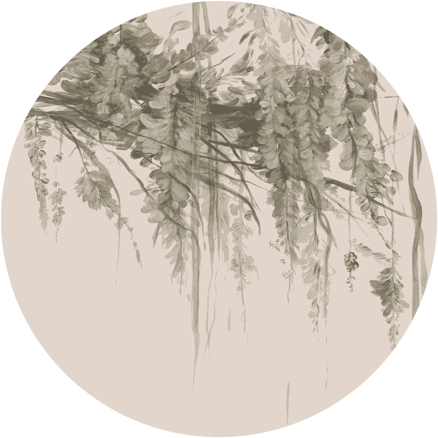 Wallpaper Acacia circle