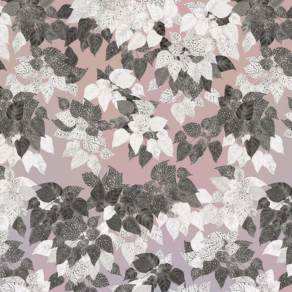 Wallpaper ANTHROPOLOGIE Peach