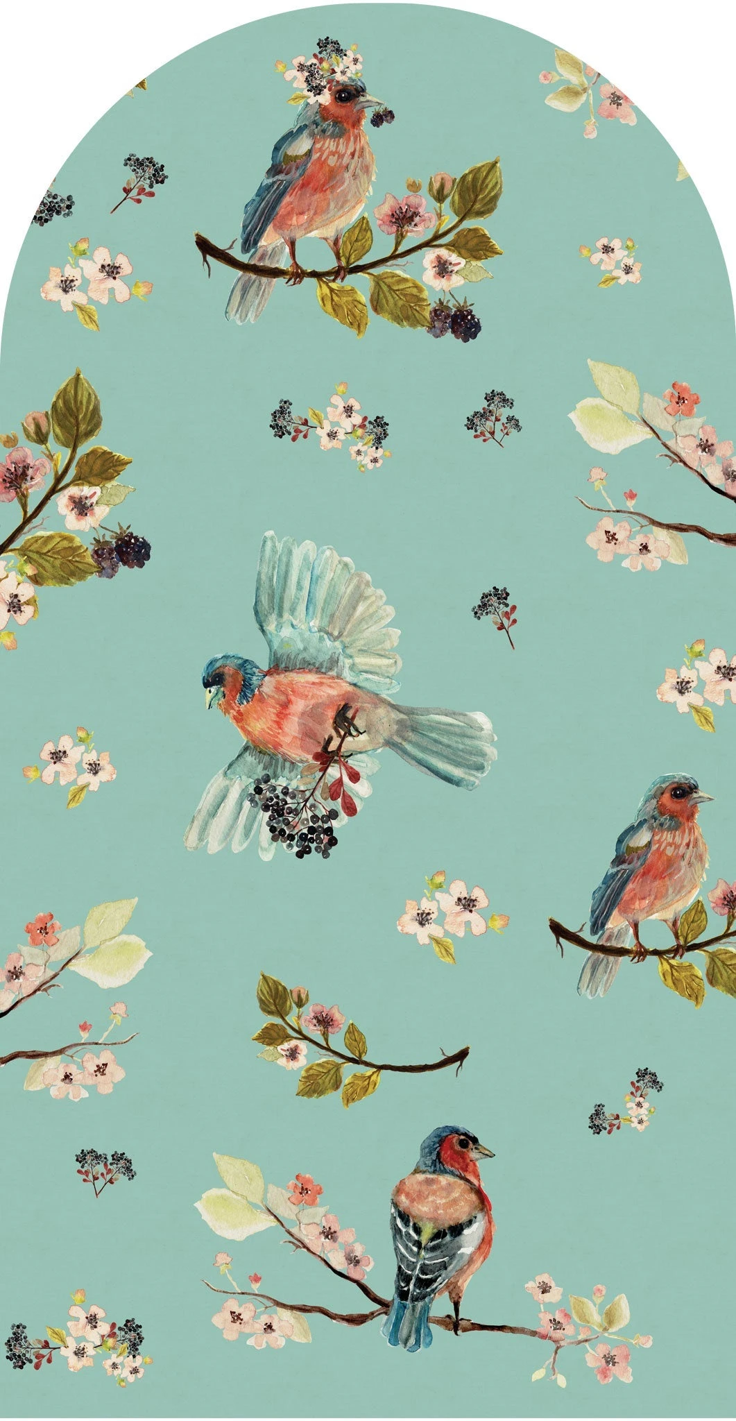 Պաստառ Wall Art Uccello Cantante Mint arc