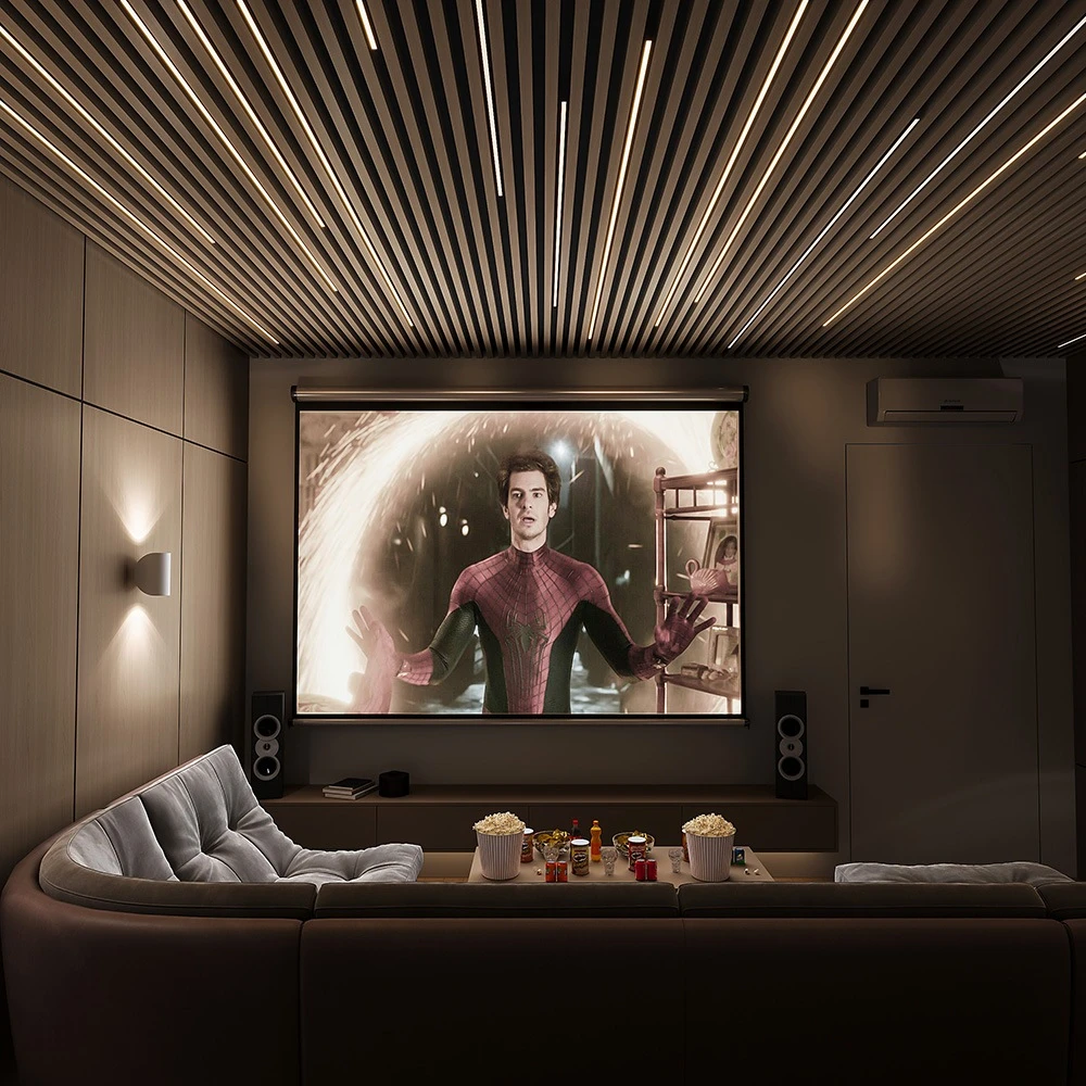 Cinema Studio (3)
