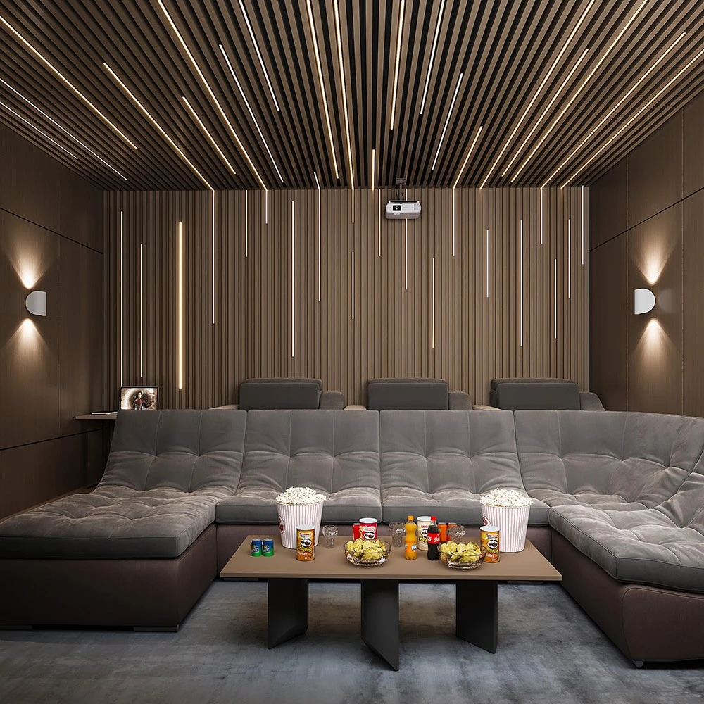 Cinema Studio (5)