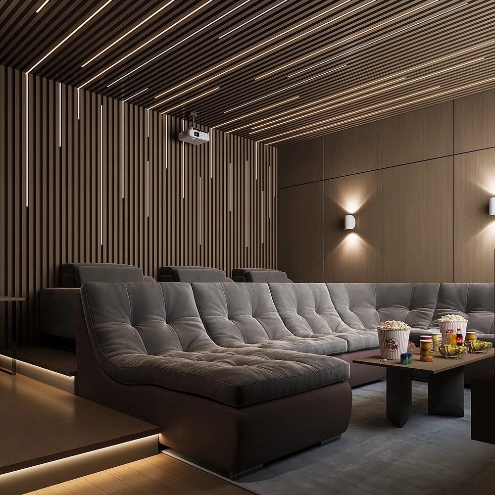 Cinema Studio (9)
