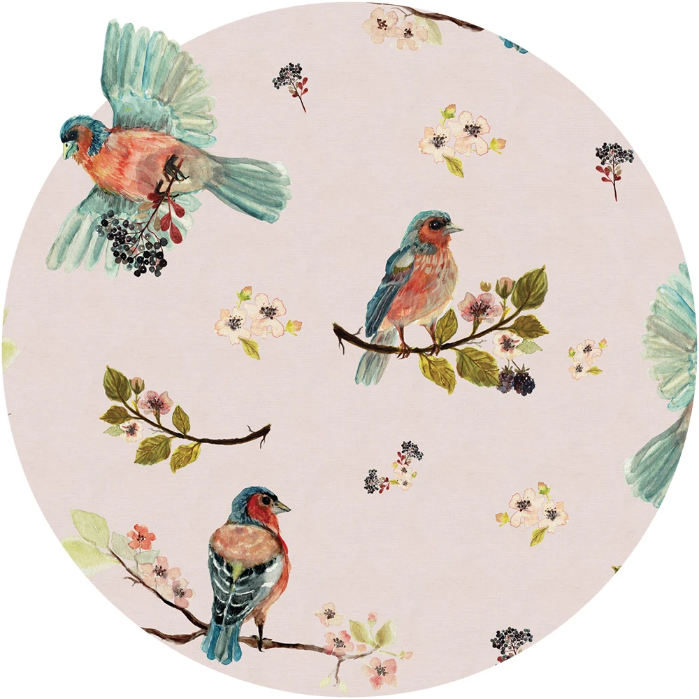 Tapete Wall Art Uccello Cantante Pink circle