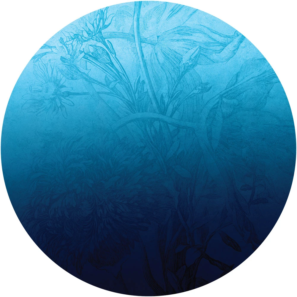 Wallpaper Blue Ombre Flower circle