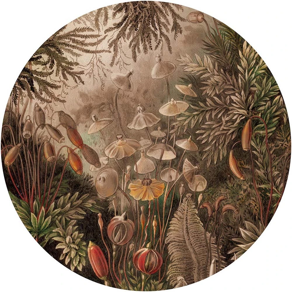 Wallpaper Fairytale Classic circle