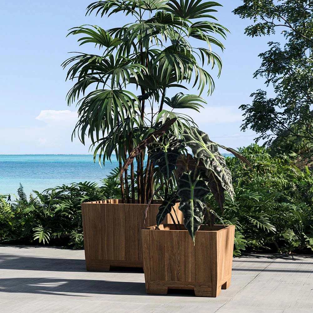 Planter  Botaniq Teak 100x100cm (2)