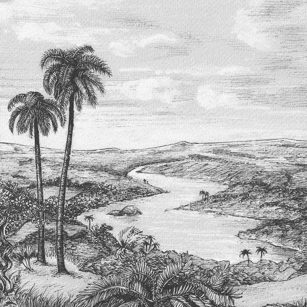Carta da parati Wall Art Palm