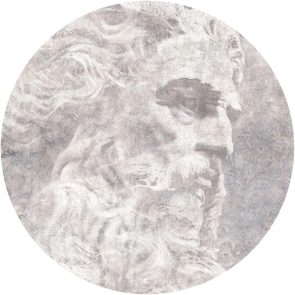 Carta da parati Wall Art Platon circle