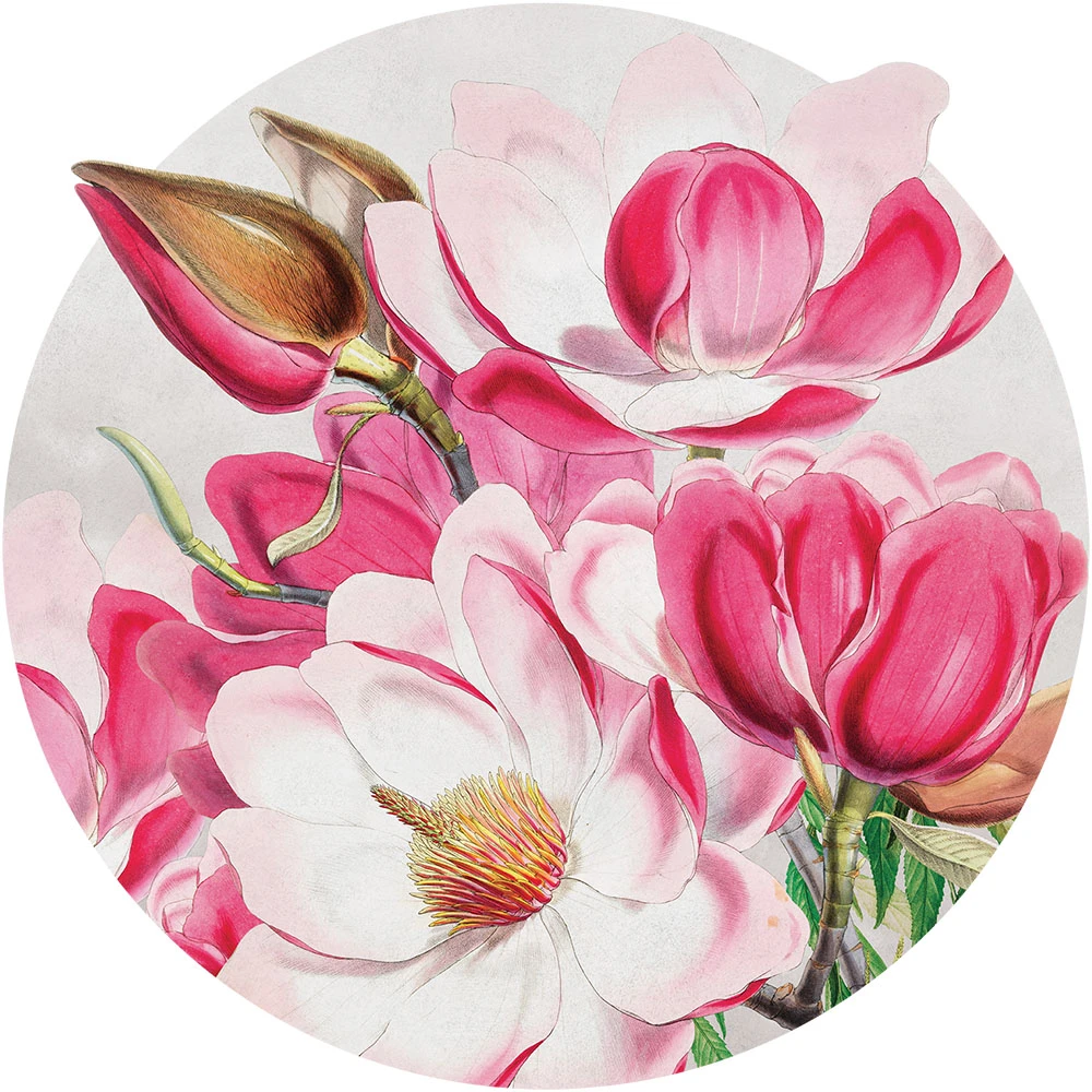 Круглые обои Wall Art Magnolia circle