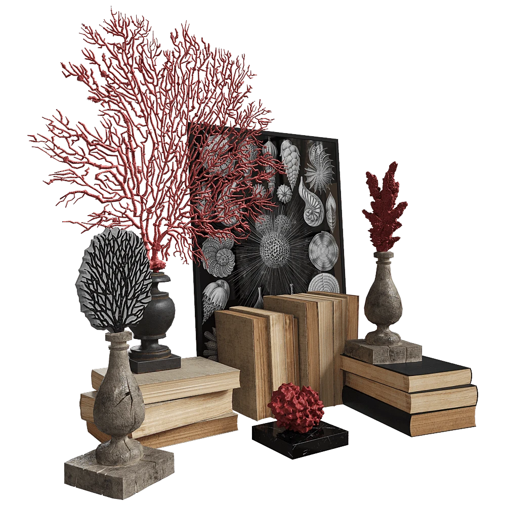 Decorative Set with Coral Sculptures and Antique Books