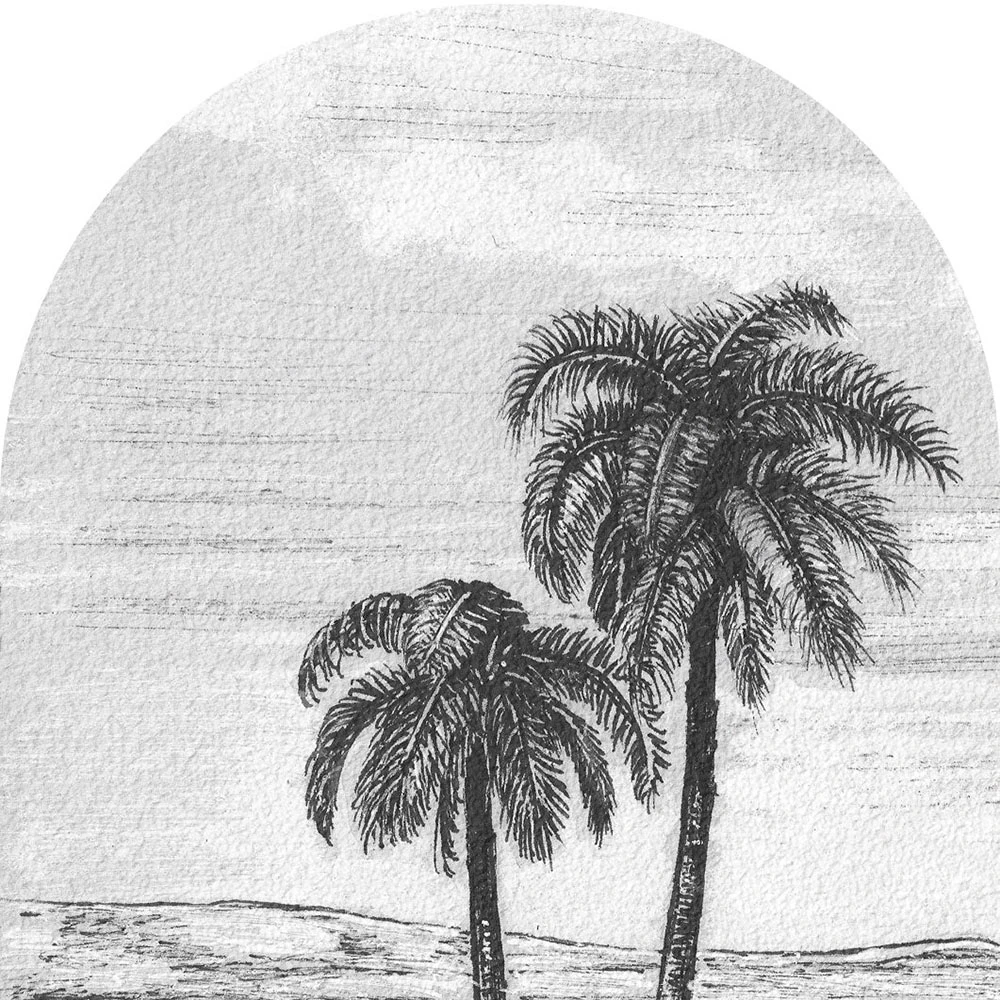 Wallpaper Wall Art Palm arc