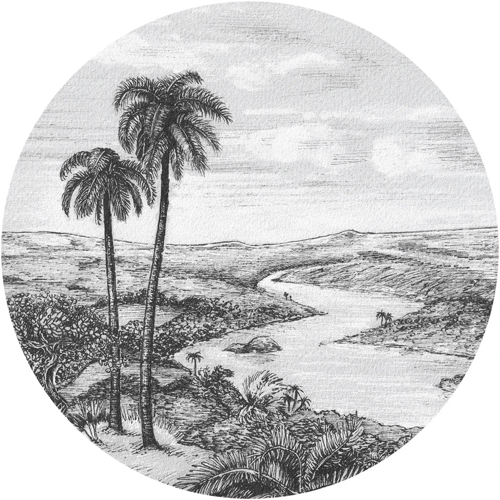 Wallpaper Wall Art Palm circle