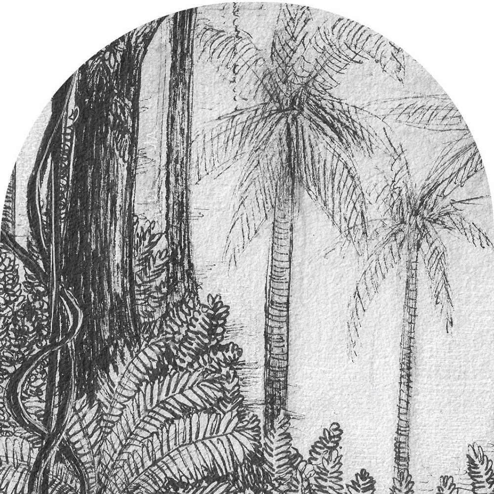 Carta da parati Wall Art Ness arc