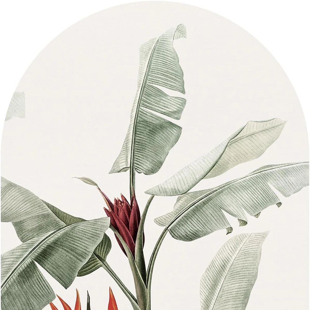 Papier peint Wall Art Rainforest Safari arc